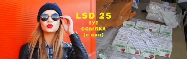 сатива Осташков