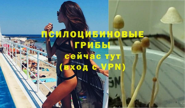 метамфетамин Видное