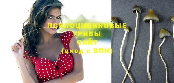 сатива Осташков