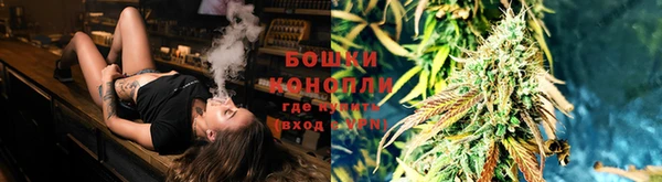 сатива Осташков