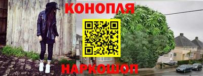 сатива Будённовск