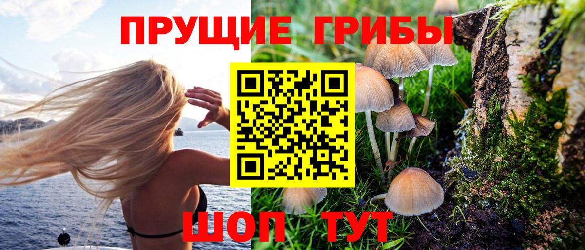 Крымск  Галлюциногенные грибы мухоморы  Вход с VPN 