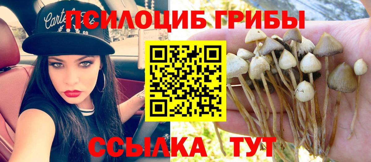 Псилоцибиновые грибы MAGIC MUSHROOMS  Крымск  Галлюциногенные грибы мицелий 