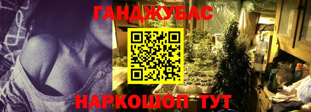 Конопля план Крымск